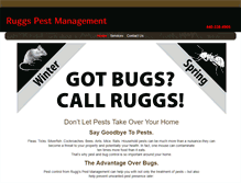 Tablet Screenshot of gotbugscallruggs.com